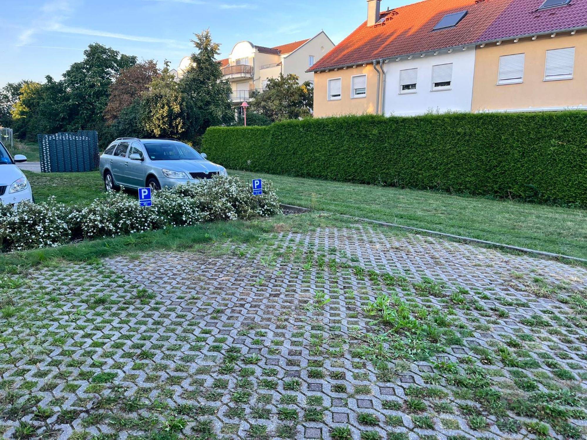 Gemuetliche Wohnung Am Muellerring Leipzig Exterior foto